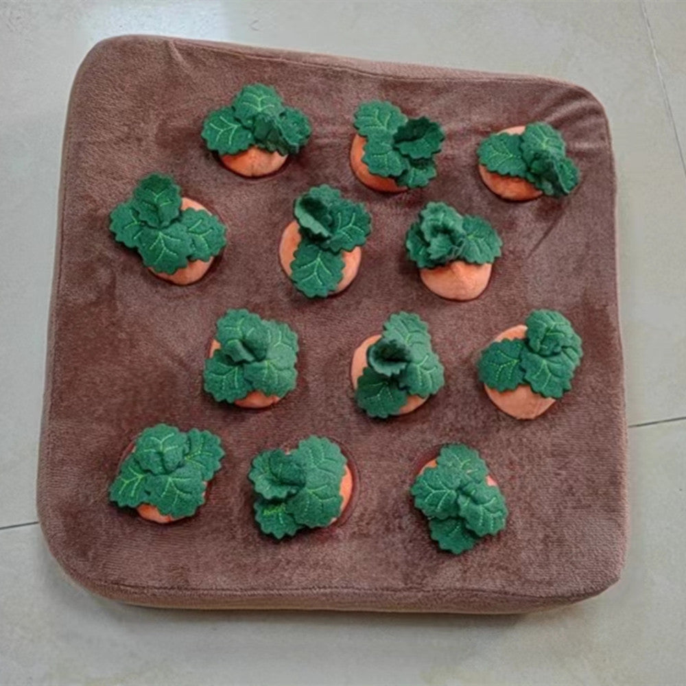 Single carrot garden with brown base and twelve orange carrots