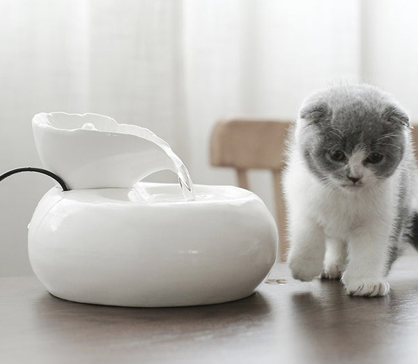 Pet Ceramic Automatic Cat Leaf Water Dispenser