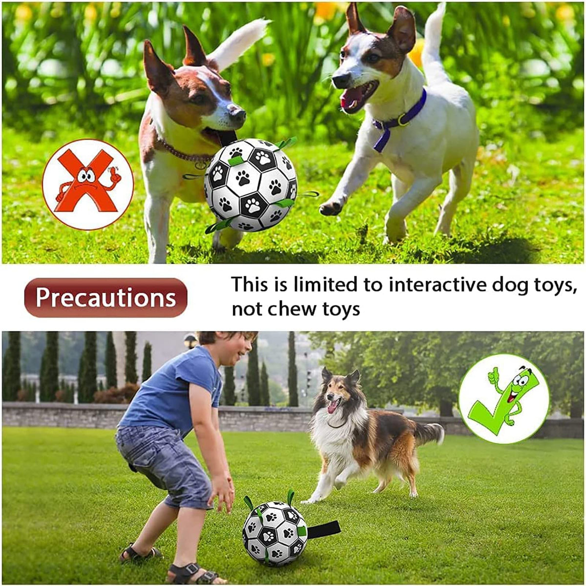 Fetch ball for supervised interactive play