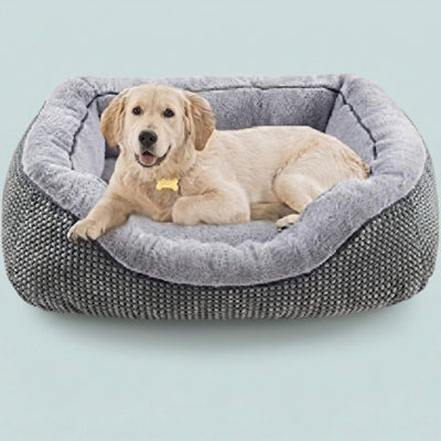 Dog Beds