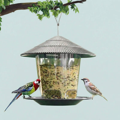 Birds Feeders